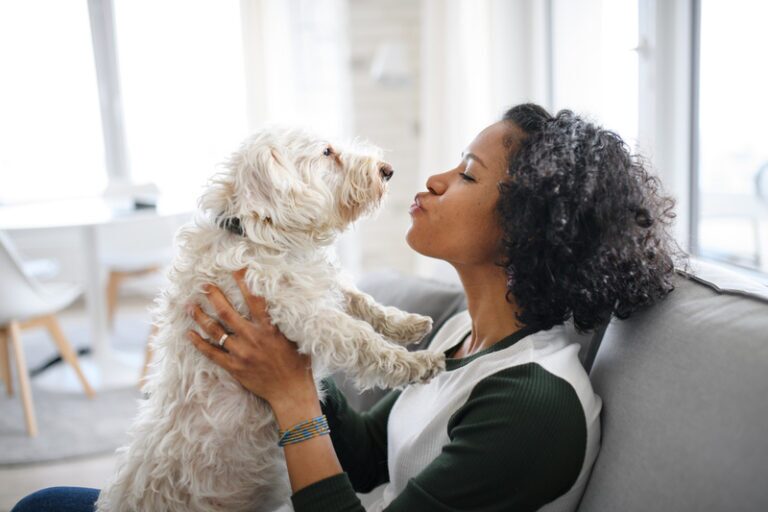 pets can impact HVAC system
