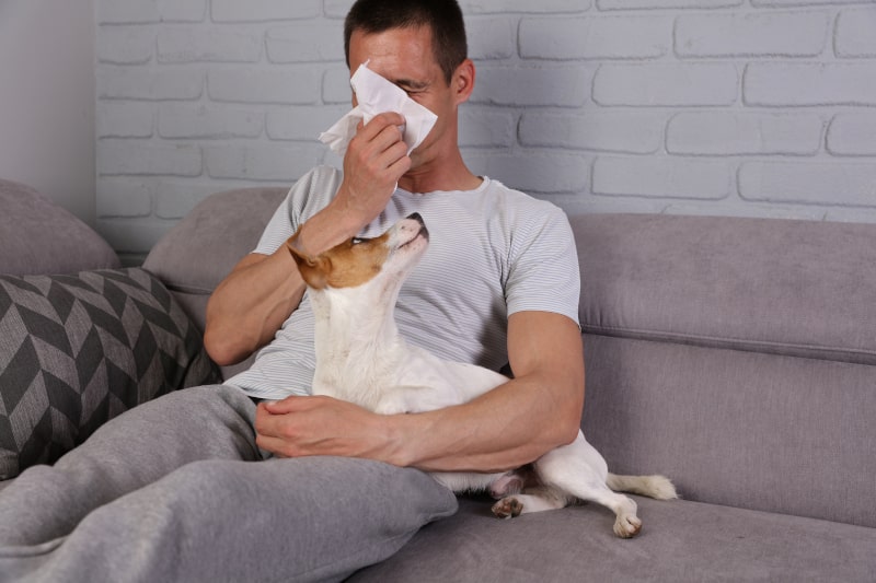 How to Allergy-Proof Your HVAC System in River Ridge, LA